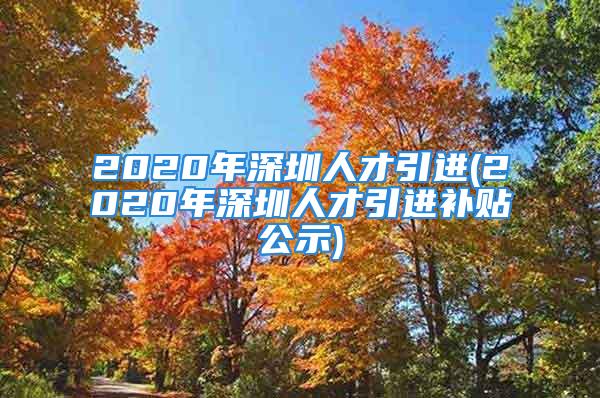 2020年深圳人才引進(jìn)(2020年深圳人才引進(jìn)補(bǔ)貼公示)