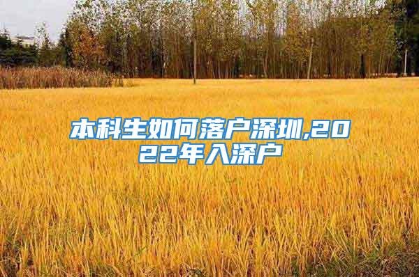 本科生如何落戶深圳,2022年入深戶