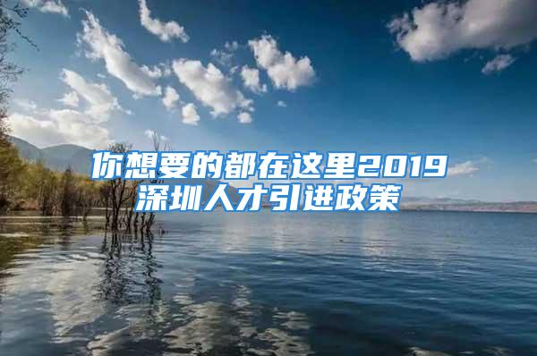 你想要的都在這里2019深圳人才引進(jìn)政策