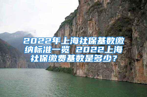 2022年上海社?；鶖?shù)繳納標(biāo)準(zhǔn)一覽 2022上海社保繳費(fèi)基數(shù)是多少？