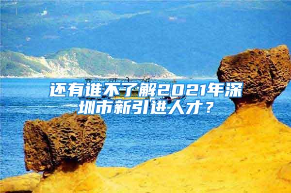 還有誰(shuí)不了解2021年深圳市新引進(jìn)人才？