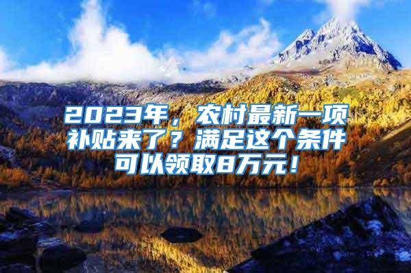 2023年，農(nóng)村最新一項(xiàng)補(bǔ)貼來了？滿足這個(gè)條件可以領(lǐng)取8萬元！