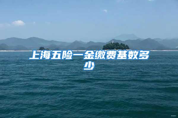 上海五險(xiǎn)一金繳費(fèi)基數(shù)多少