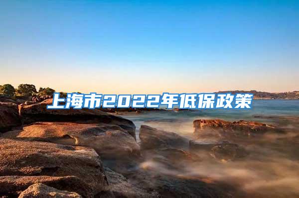 上海市2022年低保政策