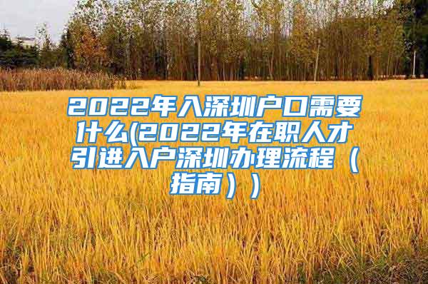 2022年入深圳戶口需要什么(2022年在職人才引進(jìn)入戶深圳辦理流程（指南）)