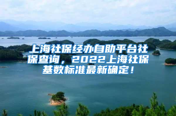 上海社保經(jīng)辦自助平臺(tái)社保查詢，2022上海社?；鶖?shù)標(biāo)準(zhǔn)最新確定！