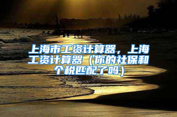 上海市工資計算器，上海工資計算器（你的社保和個稅匹配了嗎）