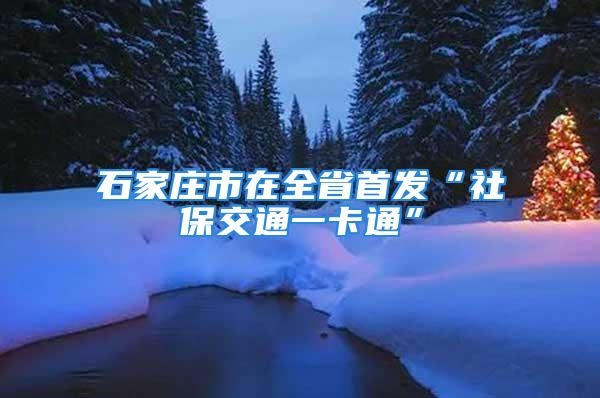 石家莊市在全省首發(fā)“社保交通一卡通”