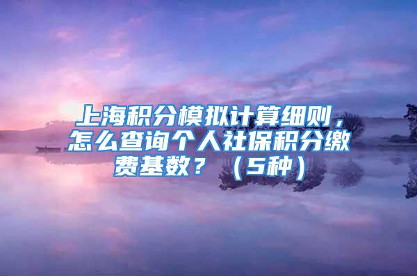 上海積分模擬計(jì)算細(xì)則，怎么查詢個(gè)人社保積分繳費(fèi)基數(shù)？（5種）