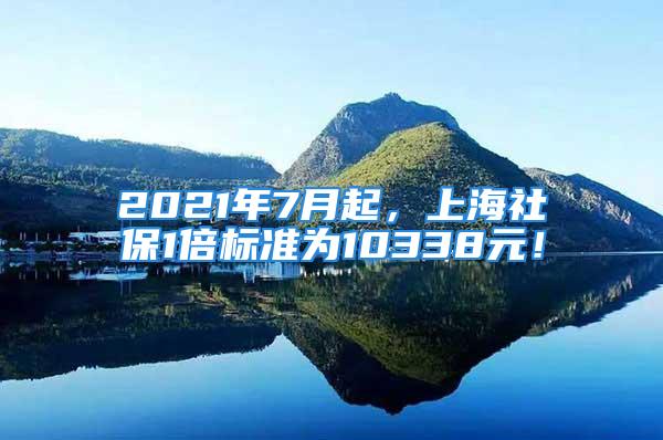 2021年7月起，上海社保1倍標準為10338元！