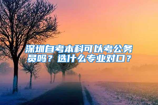 深圳自考本科可以考公務(wù)員嗎？選什么專業(yè)對口？