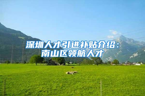 深圳人才引進(jìn)補(bǔ)貼介紹：南山區(qū)領(lǐng)航人才