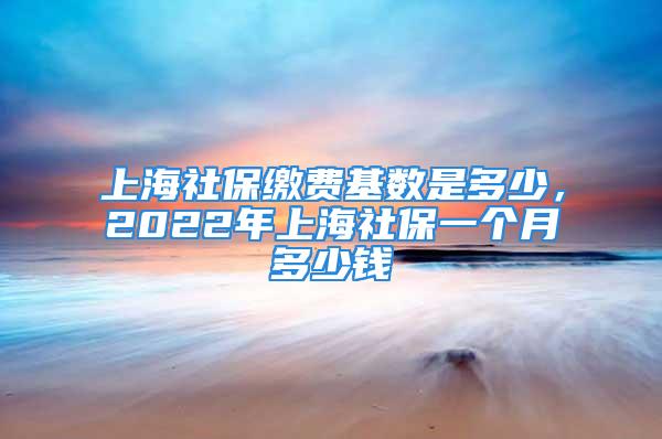 上海社保繳費基數(shù)是多少，2022年上海社保一個月多少錢