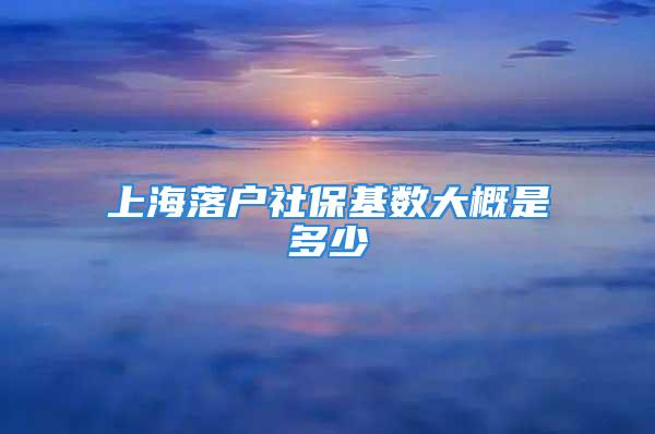 上海落戶社?；鶖?shù)大概是多少