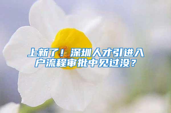 上新了！深圳人才引進(jìn)入戶流程審批中見過沒？