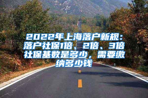 2022年上海落戶新規(guī)：落戶社保1倍、2倍、3倍社?；鶖?shù)是多少，需要繳納多少錢