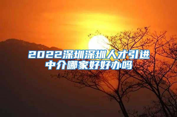 2022深圳深圳人才引進(jìn)中介哪家好好辦嗎