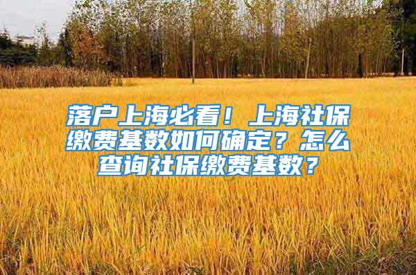 落戶上海必看！上海社保繳費(fèi)基數(shù)如何確定？怎么查詢社保繳費(fèi)基數(shù)？