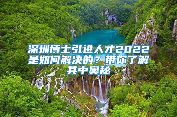 深圳博士引進人才2022是如何解決的？帶你了解其中奧秘