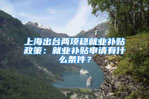 上海出臺兩項穩(wěn)就業(yè)補貼政策：就業(yè)補貼申請有什么條件？