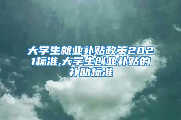 大學(xué)生就業(yè)補(bǔ)貼政策2021標(biāo)準(zhǔn),大學(xué)生創(chuàng)業(yè)補(bǔ)貼的補(bǔ)助標(biāo)準(zhǔn)