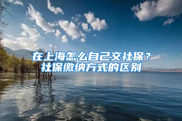 在上海怎么自己交社保？社保繳納方式的區(qū)別