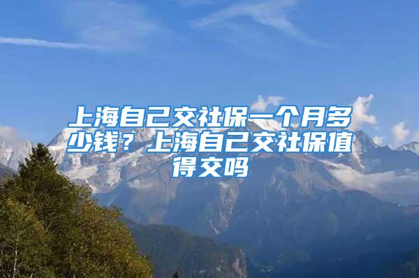 上海自己交社保一個月多少錢？上海自己交社保值得交嗎