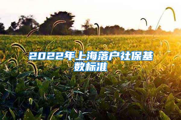 2022年上海落戶社保基數(shù)標(biāo)準(zhǔn)