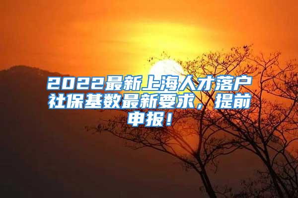 2022最新上海人才落戶社保基數(shù)最新要求，提前申報！