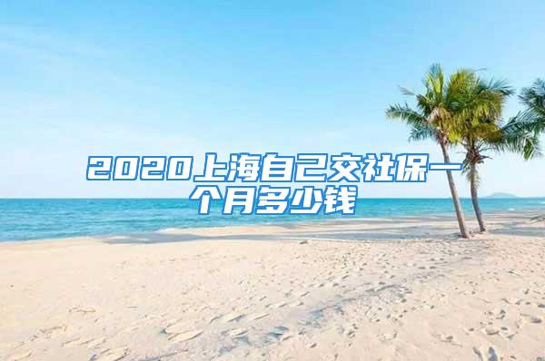 2020上海自己交社保一個(gè)月多少錢