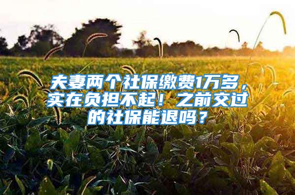 夫妻兩個社保繳費1萬多，實在負擔不起！之前交過的社保能退嗎？