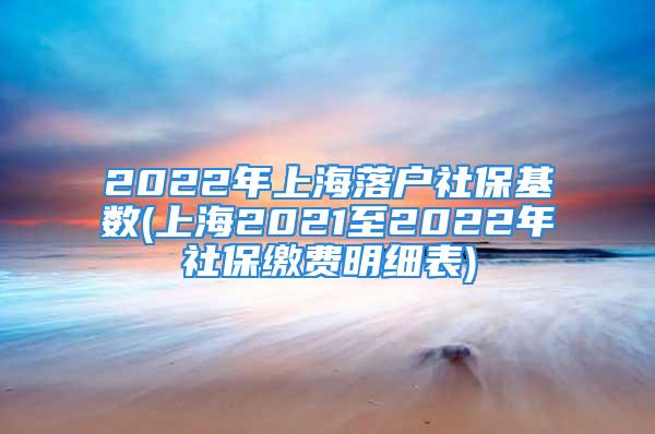 2022年上海落戶社?；鶖?shù)(上海2021至2022年社保繳費明細表)