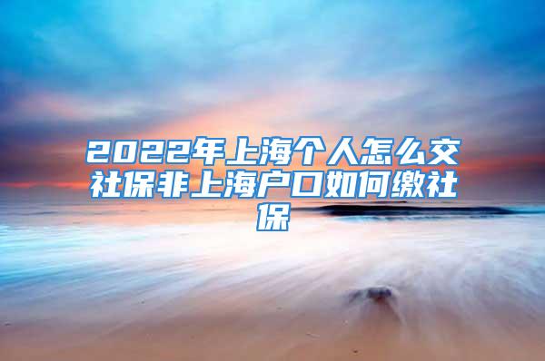 2022年上海個(gè)人怎么交社保非上海戶口如何繳社保