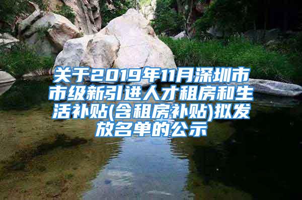 關(guān)于2019年11月深圳市市級新引進(jìn)人才租房和生活補(bǔ)貼(含租房補(bǔ)貼)擬發(fā)放名單的公示