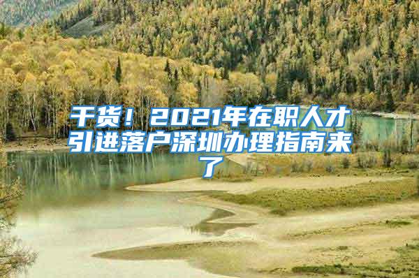 干貨！2021年在職人才引進(jìn)落戶深圳辦理指南來了