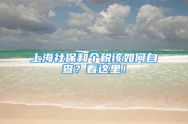 上海社保和個稅該如何自查？看這里！