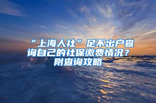 “上海人社”足不出戶查詢自己的社保繳費(fèi)情況？附查詢攻略