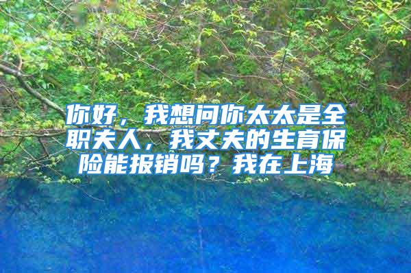 你好，我想問你太太是全職夫人，我丈夫的生育保險能報銷嗎？我在上海