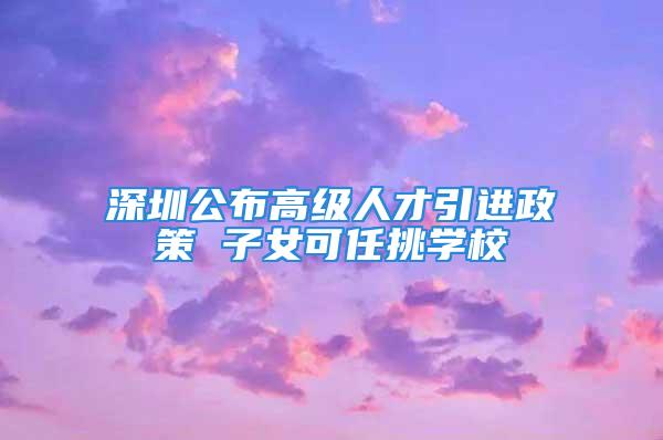 深圳公布高級人才引進政策 子女可任挑學(xué)校