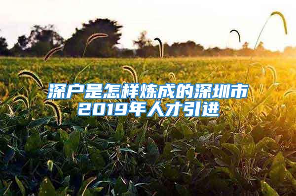 深戶是怎樣煉成的深圳市2019年人才引進