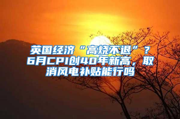 英國經濟“高燒不退”？6月CPI創(chuàng)40年新高，取消風電補貼能行嗎