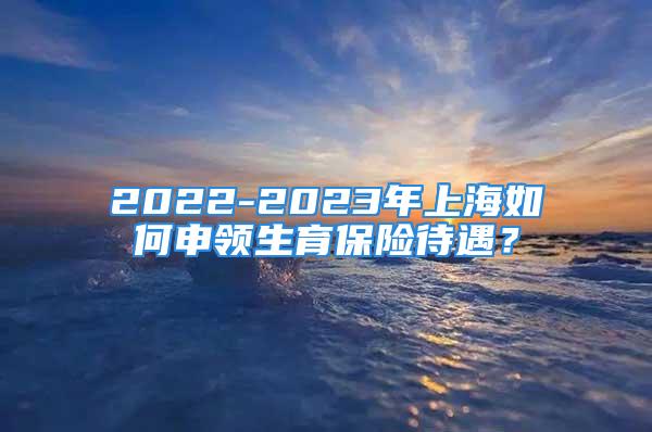 2022-2023年上海如何申領(lǐng)生育保險(xiǎn)待遇？