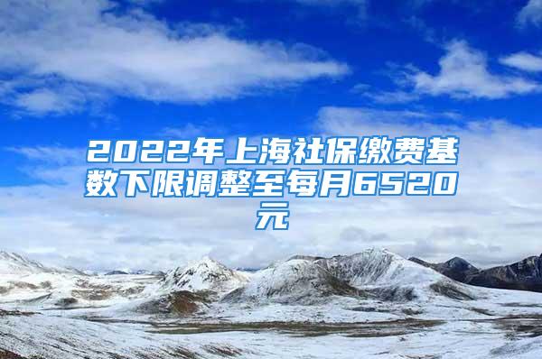 2022年上海社保繳費(fèi)基數(shù)下限調(diào)整至每月6520元