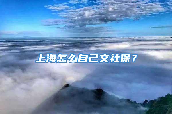 上海怎么自己交社保？