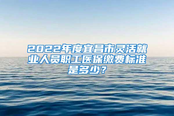 2022年度宜昌市靈活就業(yè)人員職工醫(yī)保繳費標準是多少？