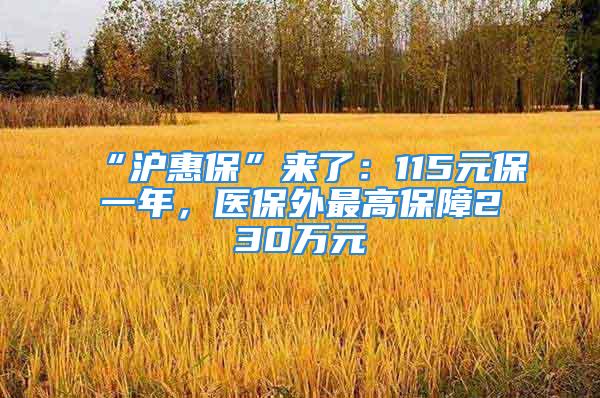 “滬惠?！眮砹耍?15元保一年，醫(yī)保外最高保障230萬元