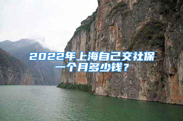 2022年上海自己交社保一個(gè)月多少錢？