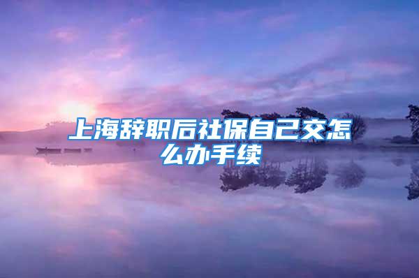 上海辭職后社保自己交怎么辦手續(xù)