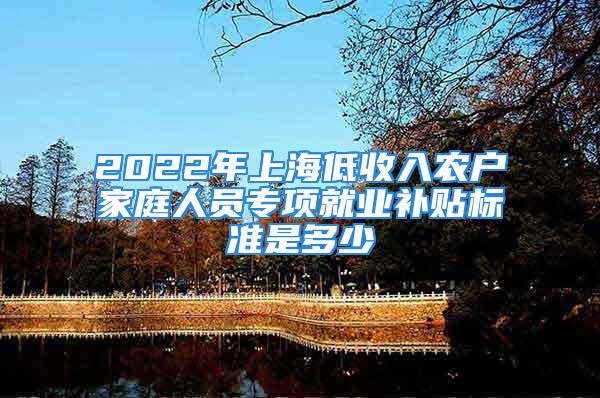 2022年上海低收入農(nóng)戶家庭人員專項(xiàng)就業(yè)補(bǔ)貼標(biāo)準(zhǔn)是多少