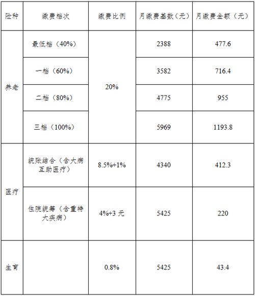 社保每個月要交多少錢 